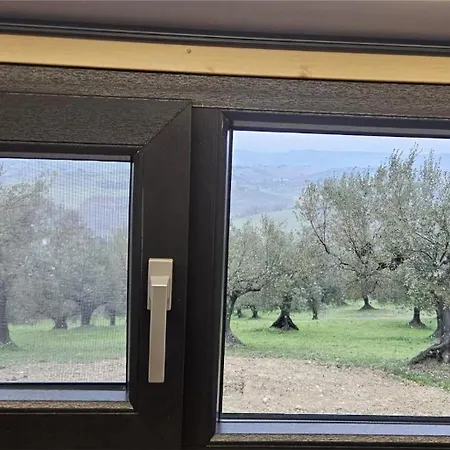 Intermezzo X By Tiny Away *