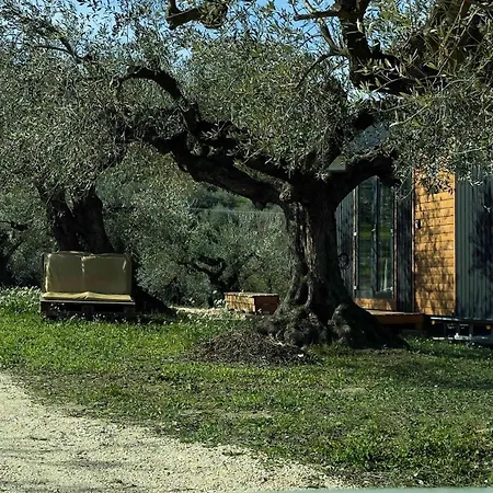 Intermezzo X By Tiny Away *